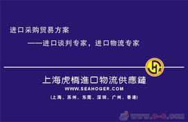 專業護航，高效通關 上海進口報關代理服務全解析