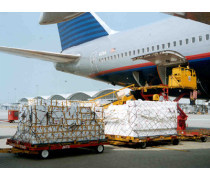 物流倉儲與貨物報關代理 現代國際貿易的基石